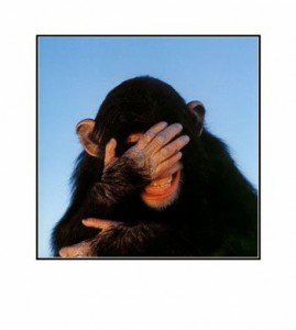 embarrassed-chimpanzee-pre-matted-c11774369