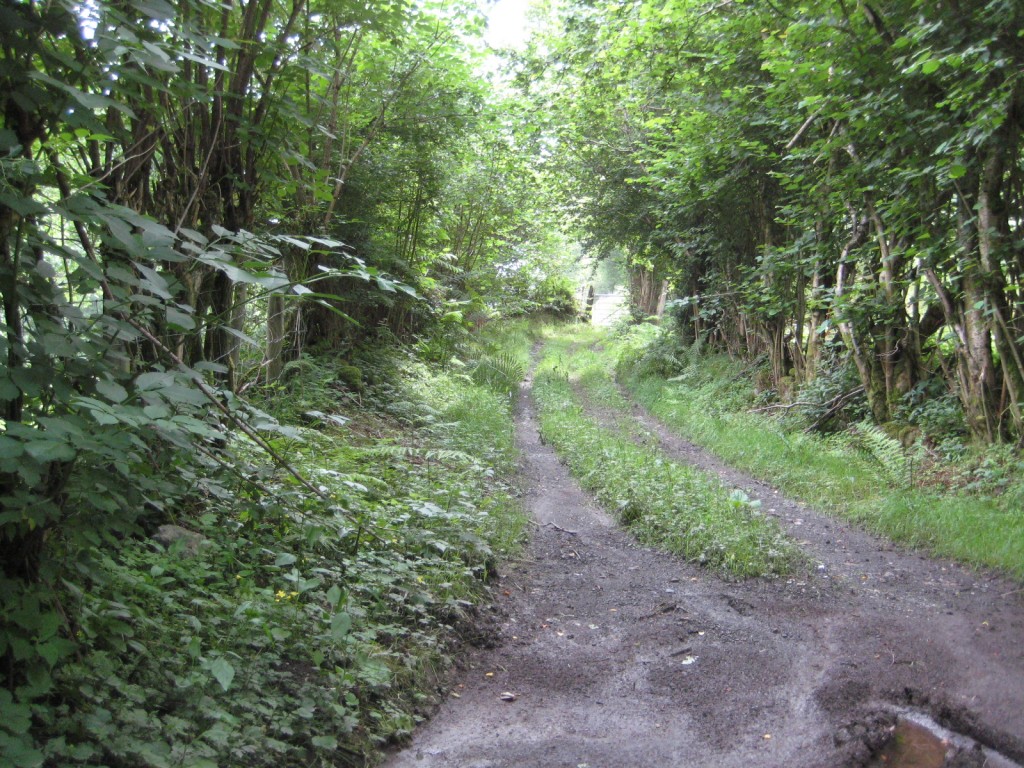 IMG_2343 IMG_2343