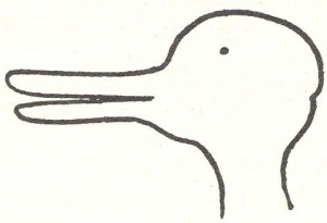 wittgenstein_duck_rabbit wittgenstein_duck_rabbit